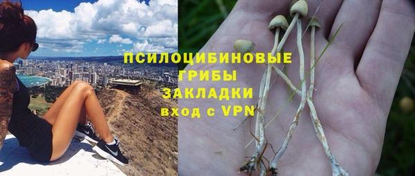 молекула духа Алексеевка
