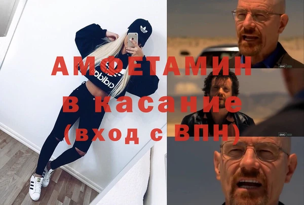прущие грибы Алексин