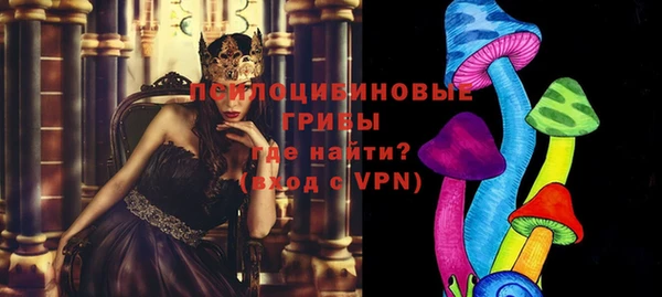 прущие грибы Алексин