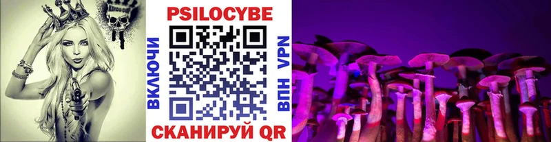 Псилоцибиновые грибы ЛСД  Таштагол 